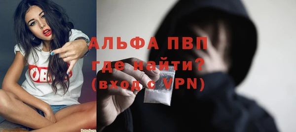 PSILOCYBIN Карталы