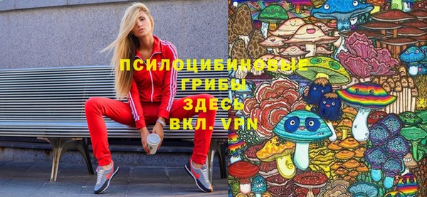mdma Каменногорск