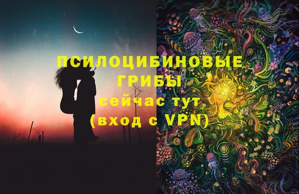 PSILOCYBIN Карталы