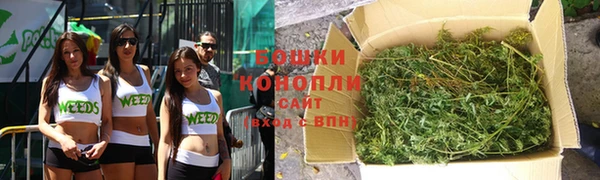 PSILOCYBIN Карталы