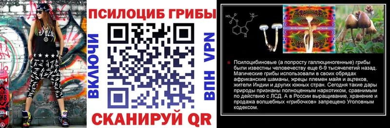Галлюциногенные грибы Cubensis  Купить где  Егорьевск 