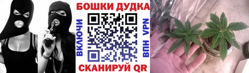 Купить закладки  Егорьевск  Бошки Шишки ГИДРОПОН 